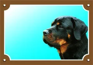 Kolorowy znak Uwaga pies, Rottweiler